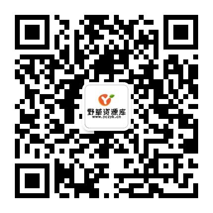 扫一扫加微信-野草资源库