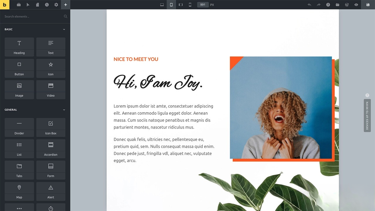 WordPress主题Bricks v1.9 破解版-野草资源库