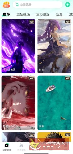 飞火动态壁纸v2.2.11高级版-野草资源库