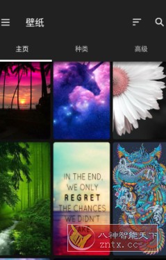ZEDGE 铃声和壁纸v8.98.2高级版-野草资源库