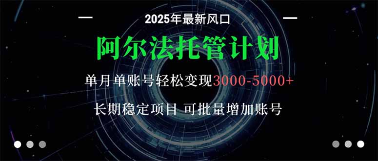 阿尔法托管计划 单账号月入3000-5000，长期稳定项目，新手小白轻松上手。-野草资源库