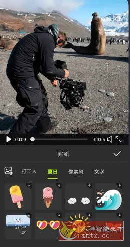 Alight Motion视频编辑 v5.0.272.1028407高级版-野草资源库