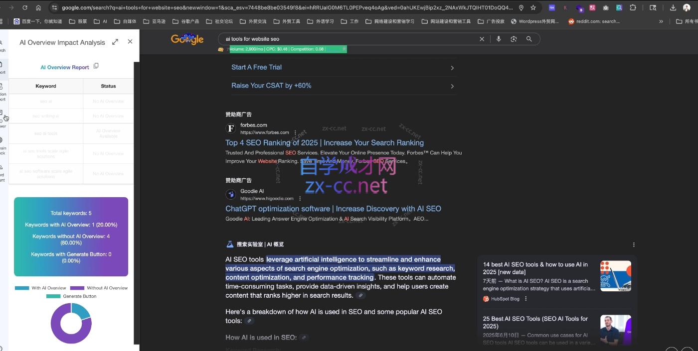 大卫·2025谷歌SEO流量打造课(更新11月)-野草资源库