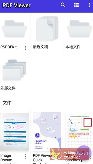 PDF Viewer Pro v2025.4.1 专业版-野草资源库