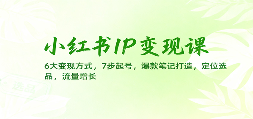 小红书IP变现课:6大变现方式,7步起号,爆款笔记打造,定位选品,流量增长-野草资源库