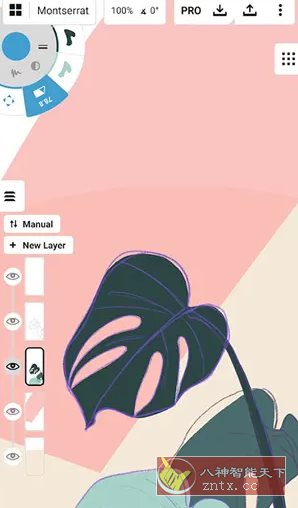 概念画板 v2025.10.1高级版-野草资源库