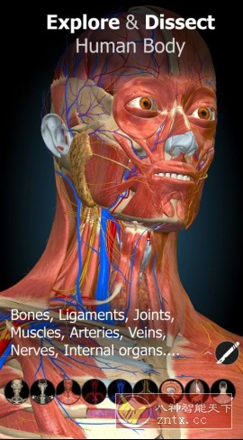 Anatomy Learning 3D解剖学v3.1.499高级版-野草资源库
