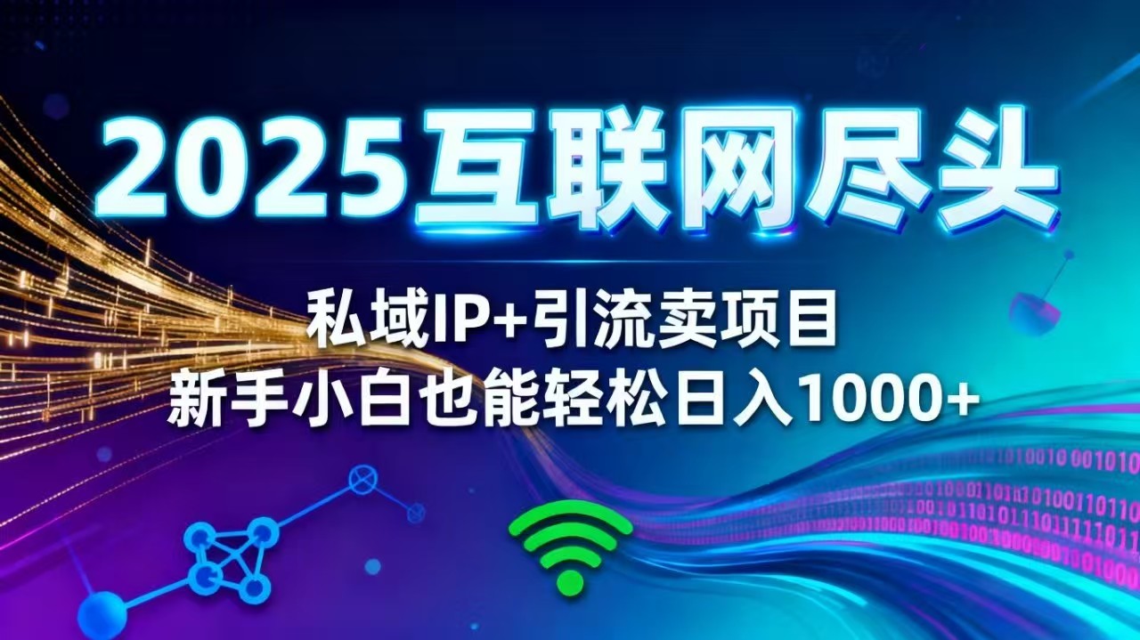 2025网创尽头王炸项目！私域 IP + 精准引流，新手小白在家躺赚日入 1000+-野草资源库